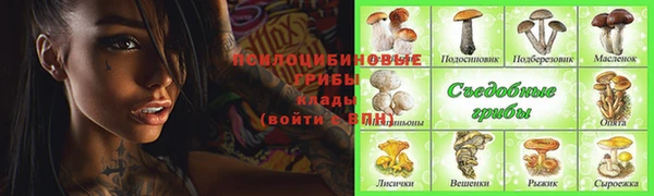 молекула духа Баксан