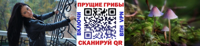 Галлюциногенные грибы Psilocybe  МЕГА ССЫЛКА  Узловая 