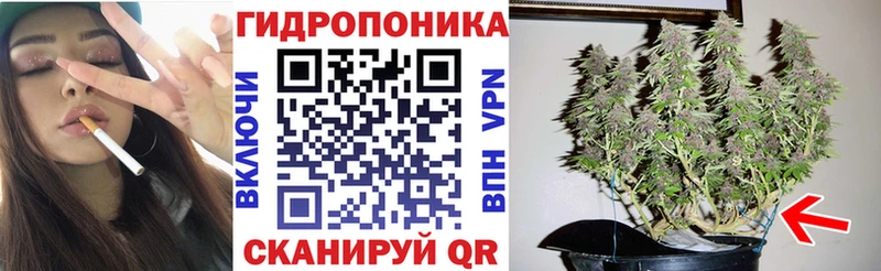 где найти наркотики дарк нет наркотические препараты Бошки Шишки VHQ Узловая